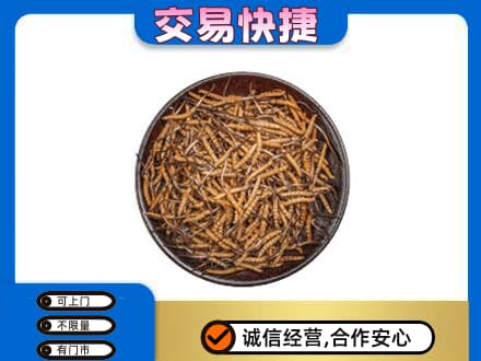 湟中区高价回收散虫草